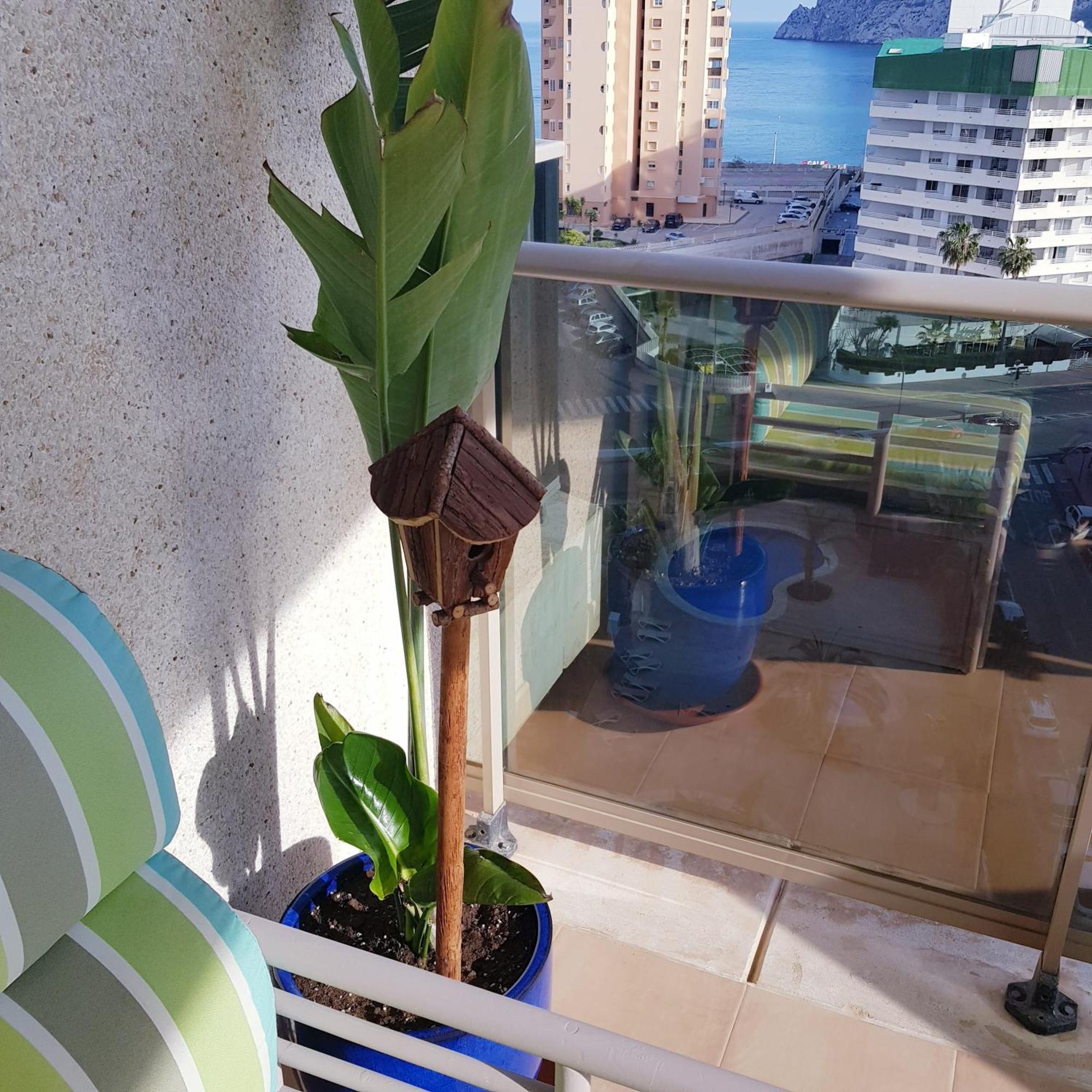 Esmeralda Suites 卡尔佩 外观 照片